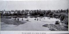 Illustration 1934- 083